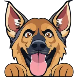 Gisela, schwarz-brauner Schäferhund